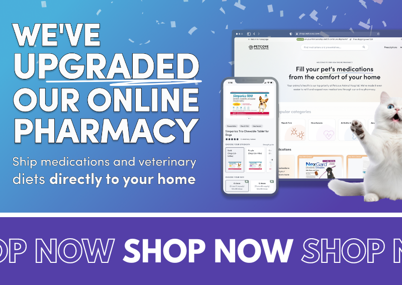 Carousel Slide 1: Order from our new online pharmacy!